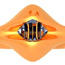 Designed by <strong>Virginie Verdenal</strong> and <strong>Said Halbane</strong> &bull; Created in <a href='/3d-modeling/3d-modeling-xenon.html'>Xenon CAD & 3D Modeling Software</a>